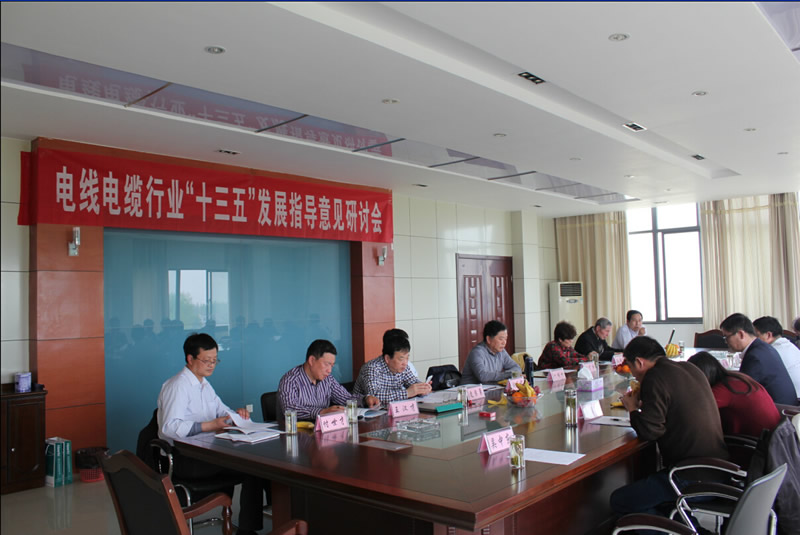 Anhui Aics Technology Group participated in the "Thirteenth Five-Year" development guidance seminar for the wire and cable industry