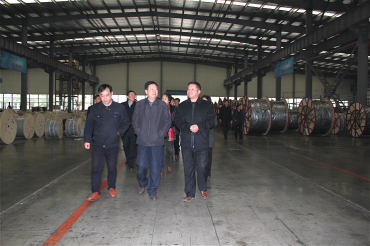Chuzhou Municipal People's Congress visited Anhui Aics Technology Group for inspection and guidance