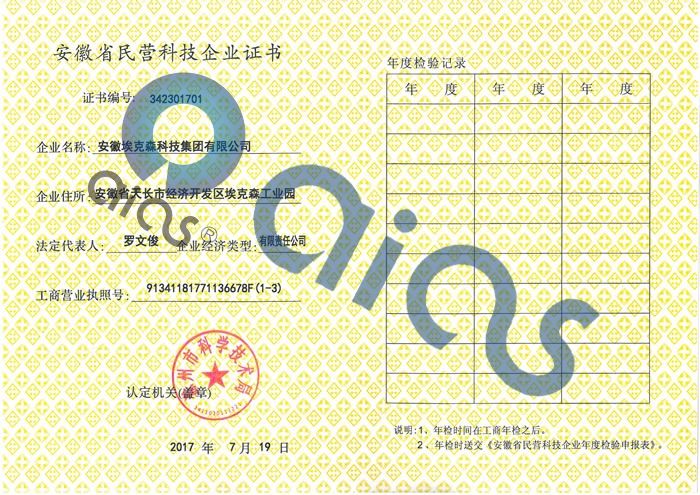 Private technology-based enterprises in Anhui Province